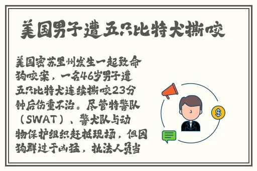 爆炒多汁小美人的一百种方法